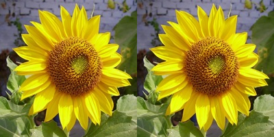 Duas da mesma imagem lado a lado